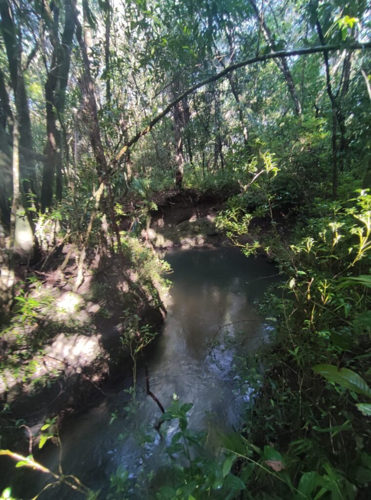 Oportunidade – Gleba de Terra com 4ha – km 12 – entre Alto Paraíso e São Jorge – Escriturada – Chapada dos Veadeiros