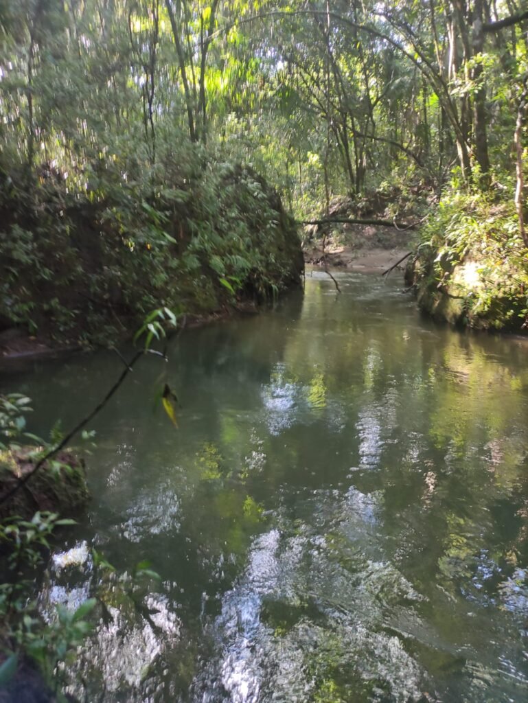 Oportunidade – Gleba de Terra com 4ha – km 12 – entre Alto Paraíso e São Jorge – Escriturada – Chapada dos Veadeiros