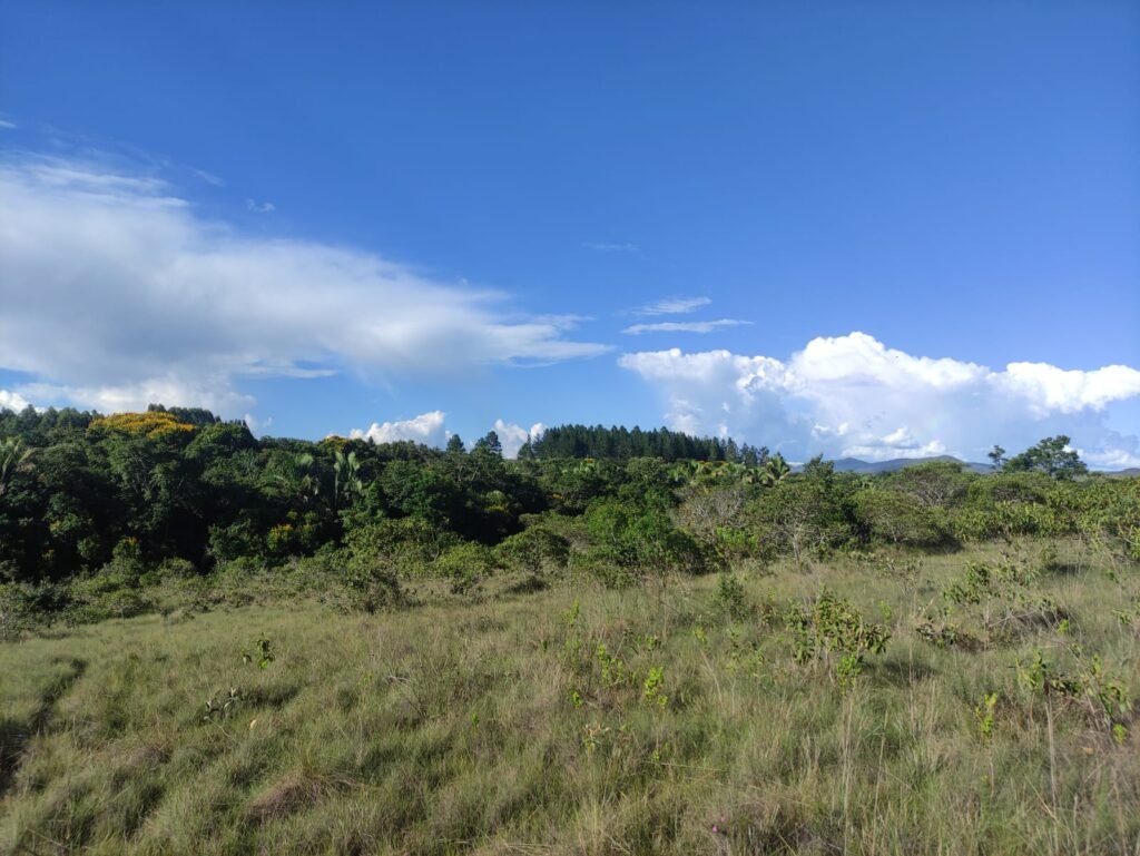 Oportunidade – Gleba de Terra com 4ha – km 12 – entre Alto Paraíso e São Jorge – Escriturada – Chapada dos Veadeiros