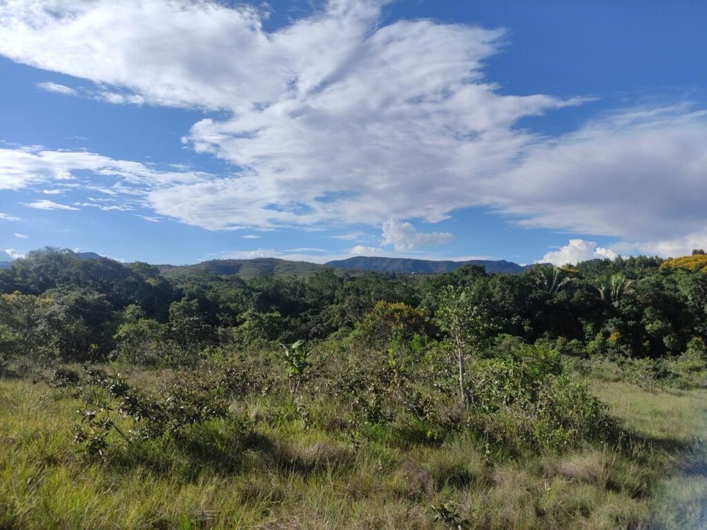 Oportunidade – Gleba de Terra com 4ha – km 12 – entre Alto Paraíso e São Jorge – Escriturada – Chapada dos Veadeiros