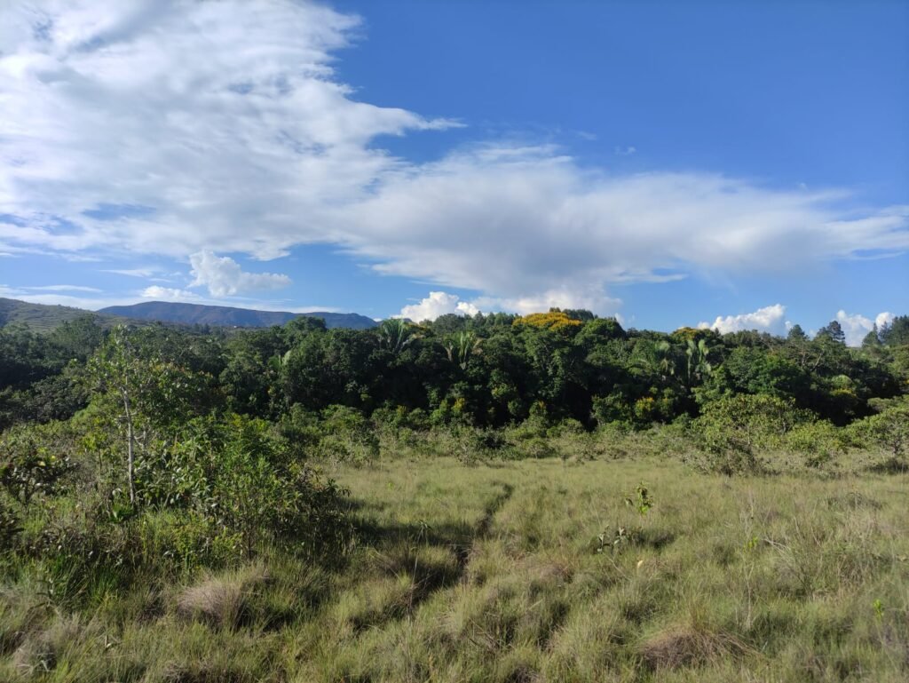 Oportunidade – Gleba de Terra com 4ha – km 12 – entre Alto Paraíso e São Jorge – Escriturada – Chapada dos Veadeiros