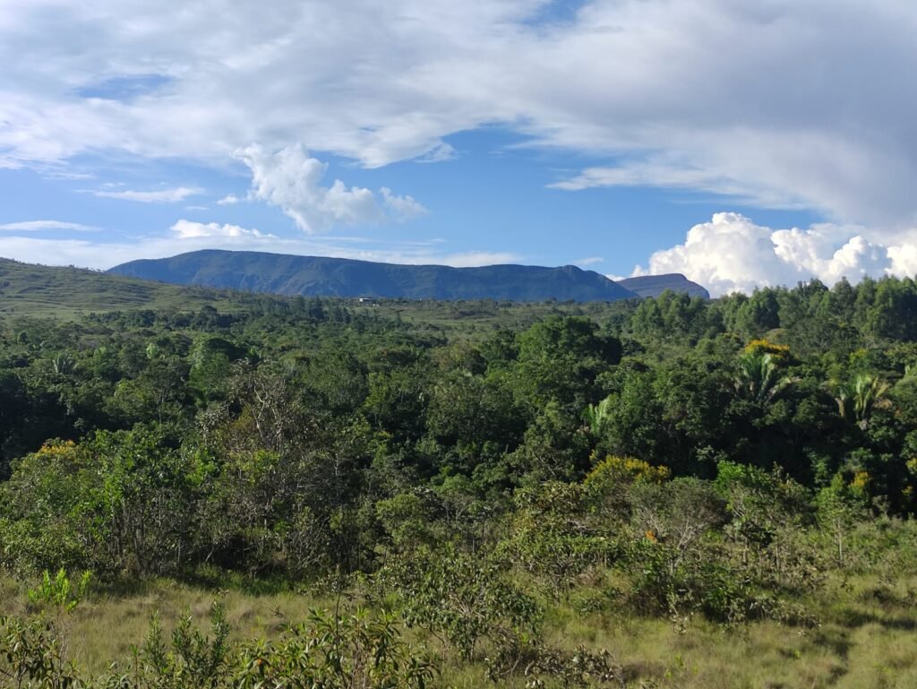 Oportunidade – Gleba de Terra com 4ha – km 12 – entre Alto Paraíso e São Jorge – Escriturada – Chapada dos Veadeiros