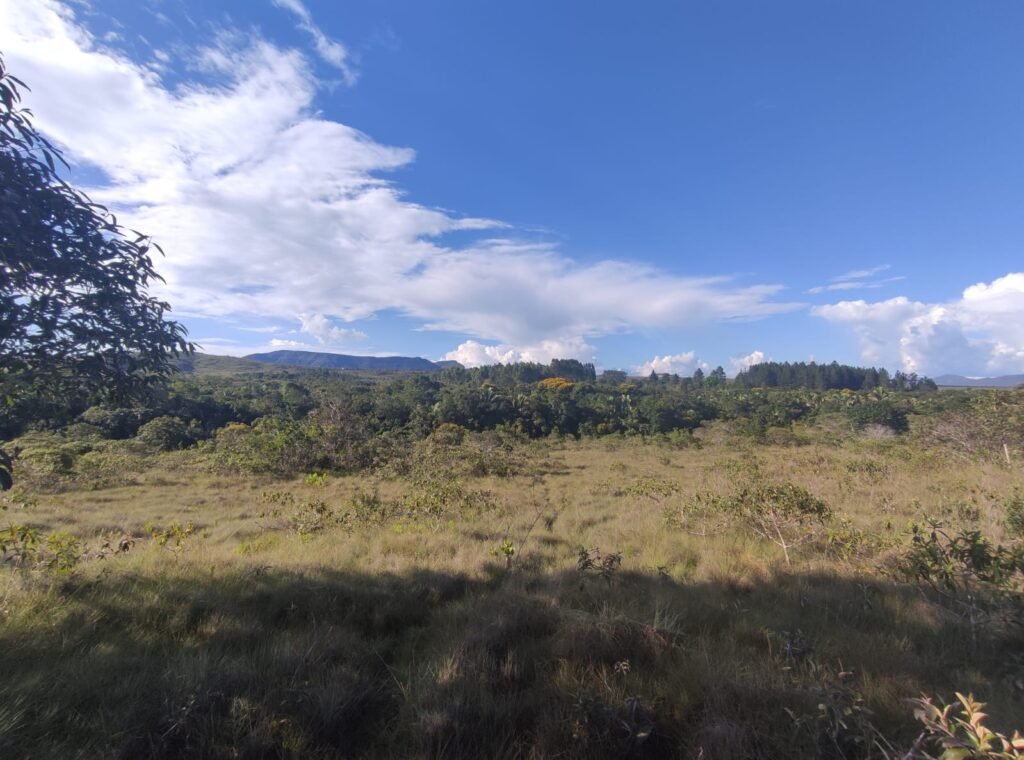 Oportunidade – Gleba de Terra com 4ha – km 12 – entre Alto Paraíso e São Jorge – Escriturada – Chapada dos Veadeiros
