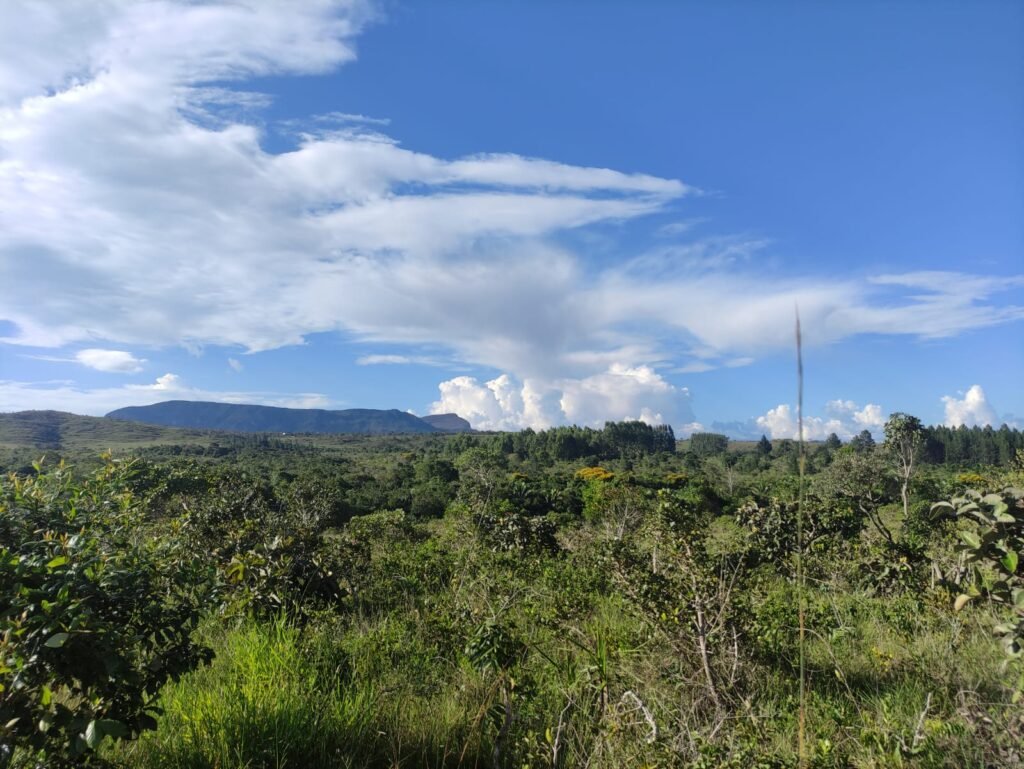 Oportunidade – Gleba de Terra com 4ha – km 12 – entre Alto Paraíso e São Jorge – Escriturada – Chapada dos Veadeiros