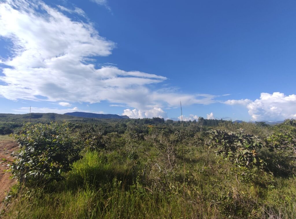 Oportunidade – Gleba de Terra com 4ha – km 12 – entre Alto Paraíso e São Jorge – Escriturada – Chapada dos Veadeiros