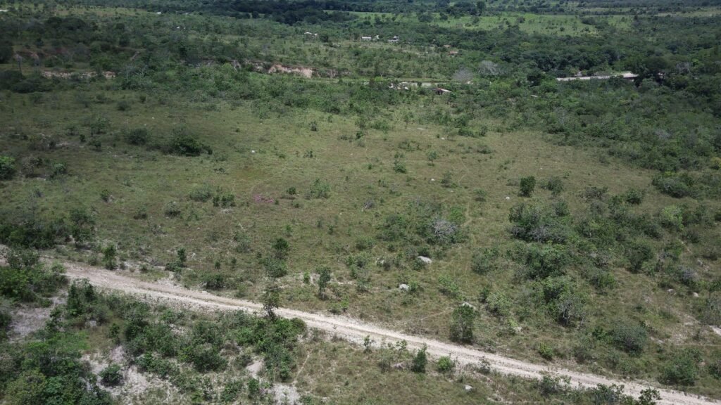 Gleba 4 ha – Rio Almas – Cavalcante de Goiás – Chapada dos Veadeiros