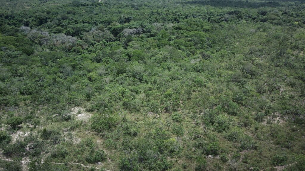 Gleba 4 ha – Rio Almas – Cavalcante de Goiás – Chapada dos Veadeiros