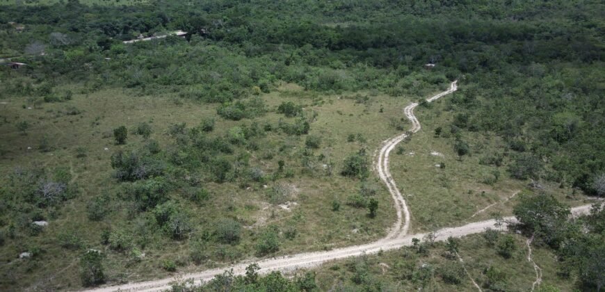 Gleba 4 ha – Rio Almas – Cavalcante de Goiás – Chapada dos Veadeiros
