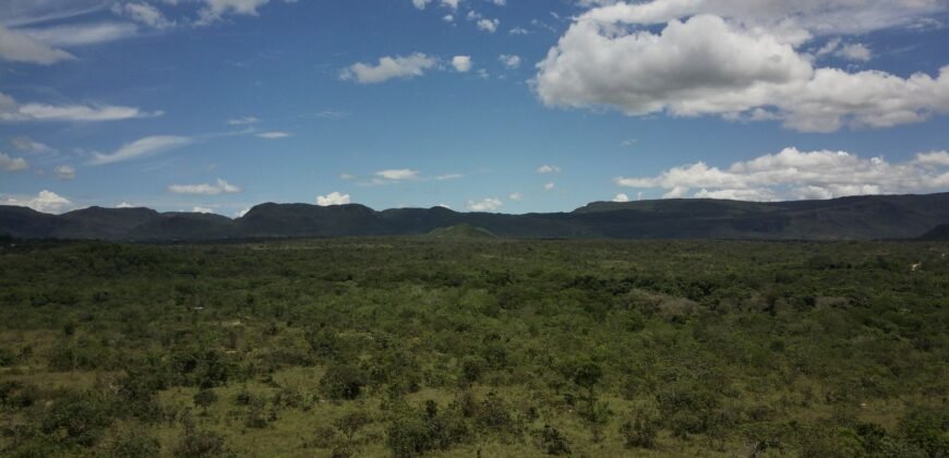 Gleba 4 ha – Rio Almas – Cavalcante de Goiás – Chapada dos Veadeiros