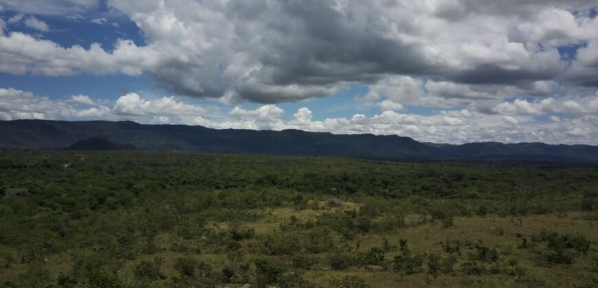 Gleba 4 ha – Rio Almas – Cavalcante de Goiás – Chapada dos Veadeiros