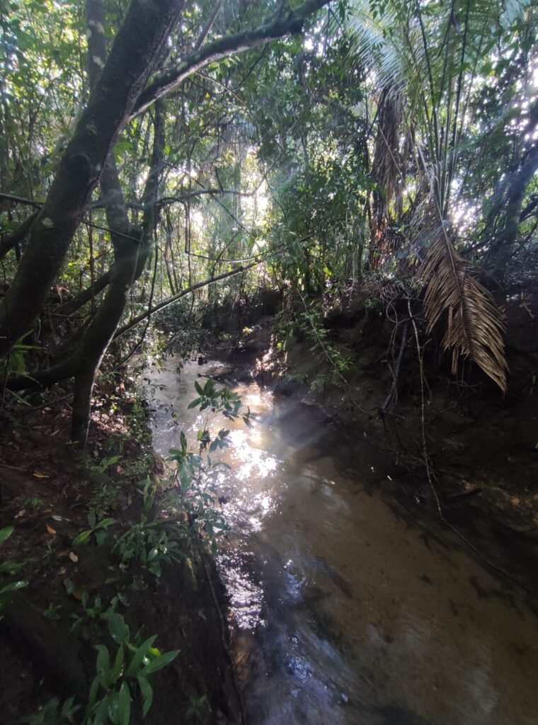 Oportunidade – Gleba de Terra com 4ha – km 12 – entre Alto Paraíso e São Jorge – Escriturada – Chapada dos Veadeiros