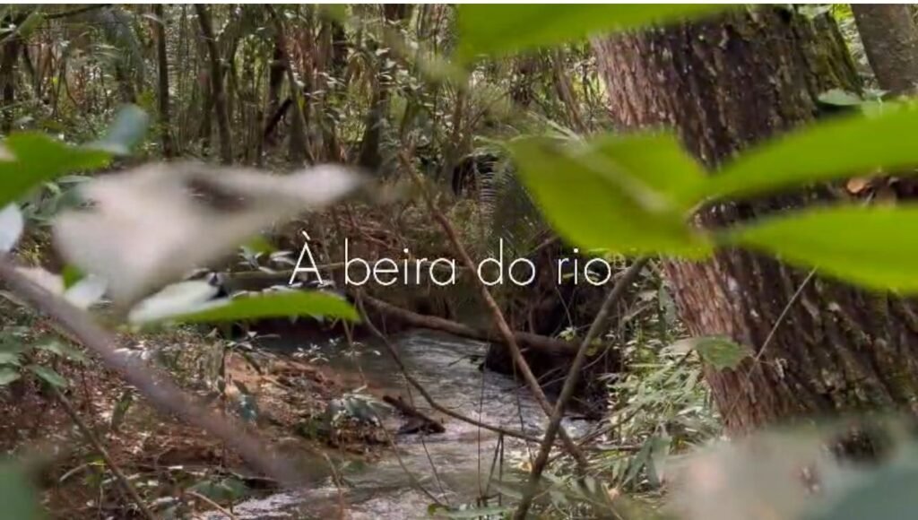Oportunidade – Gleba de Terra com 4ha – km 12 – entre Alto Paraíso e São Jorge – Escriturada – Chapada dos Veadeiros