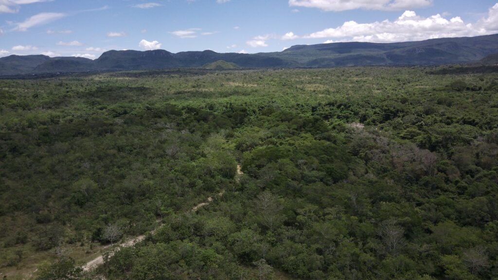 Gleba 4 ha – Rio Almas – Cavalcante de Goiás – Chapada dos Veadeiros