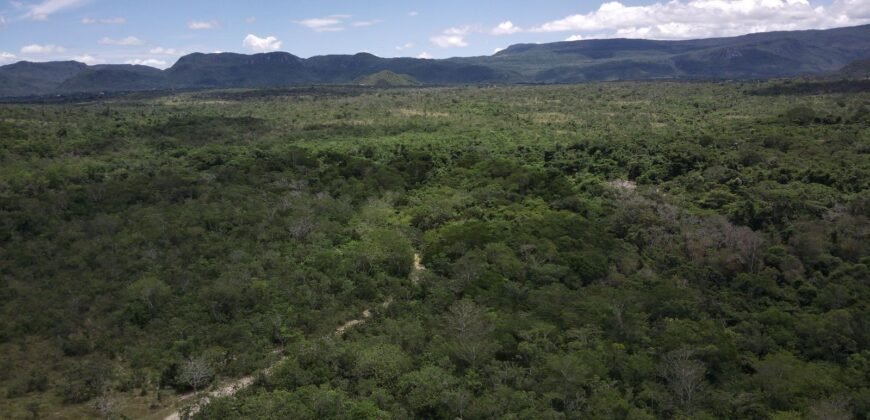 Gleba 4 ha – Rio Almas – Cavalcante de Goiás – Chapada dos Veadeiros