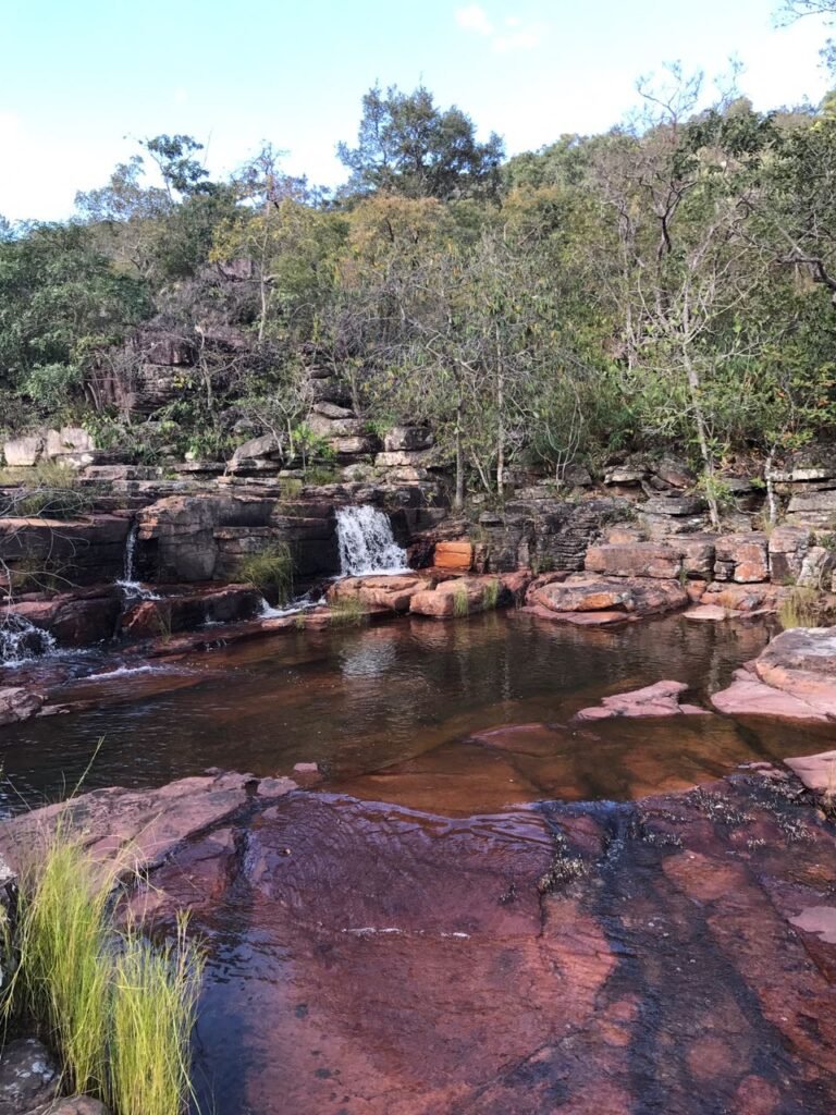 Chácara 4ha – Fazendo Flor da Mata – 14km de Alto Paraíso sentido Brasília