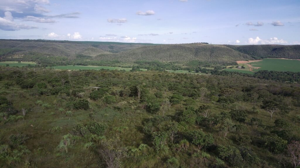 Chácara 4ha – Fazendo Flor da Mata – 14km de Alto Paraíso sentido Brasília