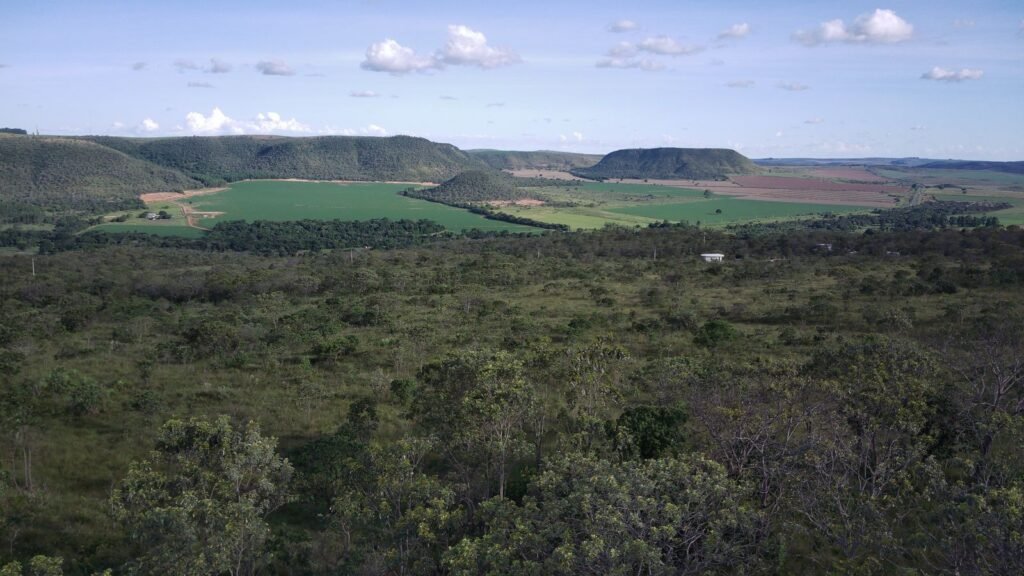 Chácara 4ha – Fazendo Flor da Mata – 14km de Alto Paraíso sentido Brasília