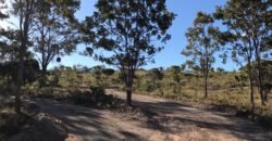Chácara 4ha – Fazendo Flor da Mata – 14km de Alto Paraíso sentido Brasília Chácara 4ha – Fazendo Flor da Mata – 14km de Alto Paraíso sentido Brasília
