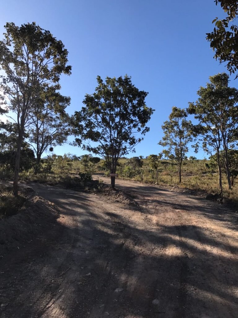 Chácara 4ha – Fazendo Flor da Mata – 14km de Alto Paraíso sentido Brasília