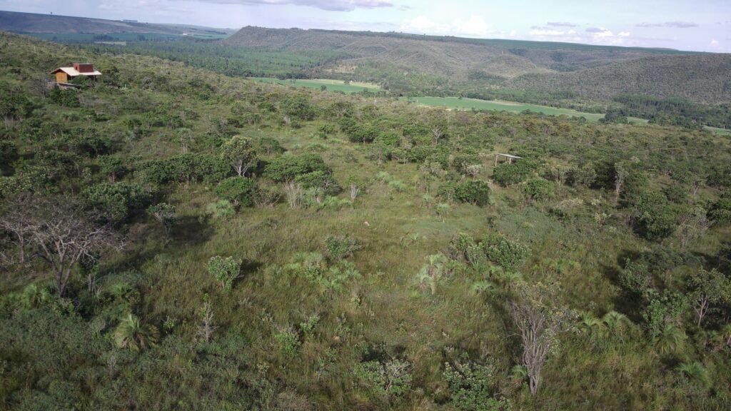 Chácara 4ha – Fazendo Flor da Mata – 14km de Alto Paraíso sentido Brasília