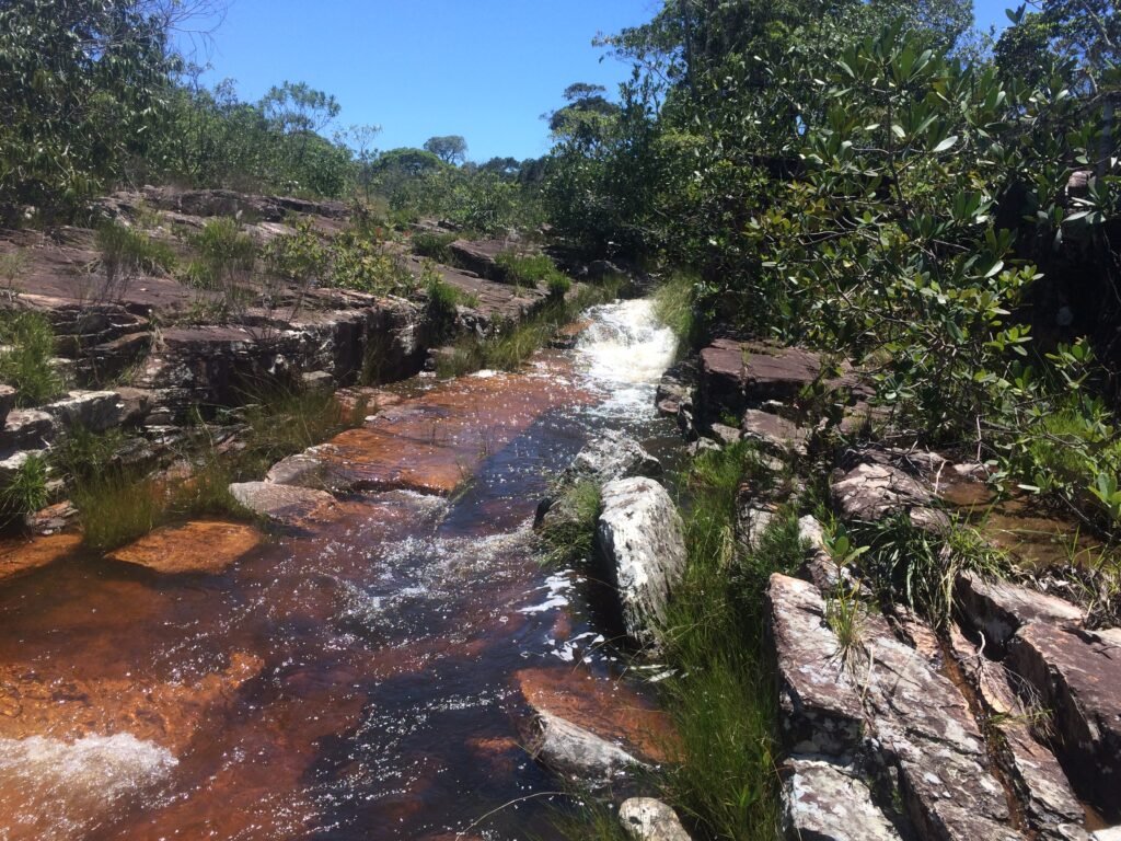 Chácara 4ha – Fazendo Flor da Mata – 14km de Alto Paraíso sentido Brasília