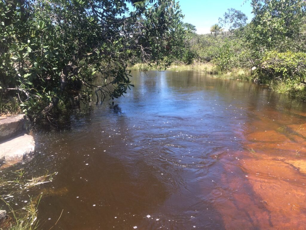 Chácara 4ha – Fazendo Flor da Mata – 14km de Alto Paraíso sentido Brasília