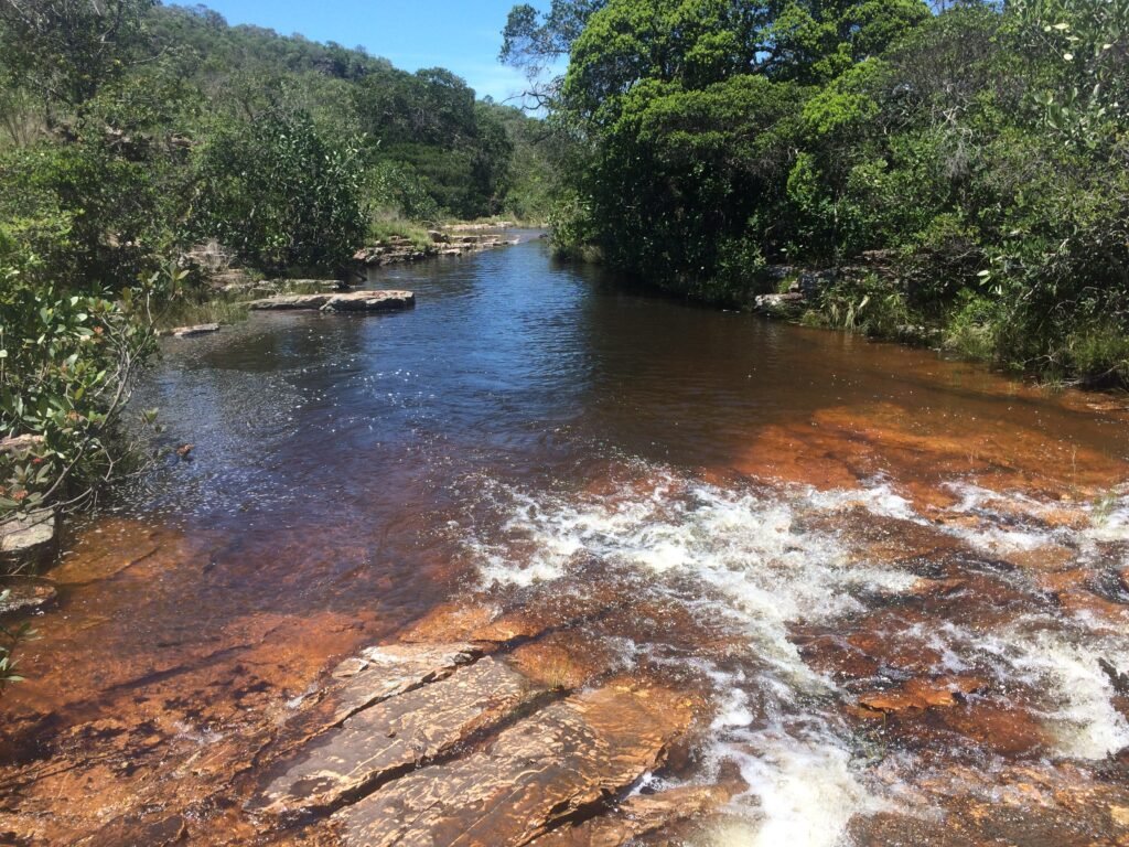 Chácara 4ha – Fazendo Flor da Mata – 14km de Alto Paraíso sentido Brasília