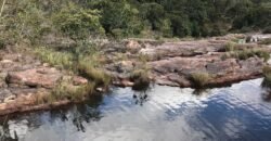 Chácara 4ha – Fazendo Flor da Mata – 14km de Alto Paraíso sentido Brasília Chácara 4ha – Fazendo Flor da Mata – 14km de Alto Paraíso sentido Brasília