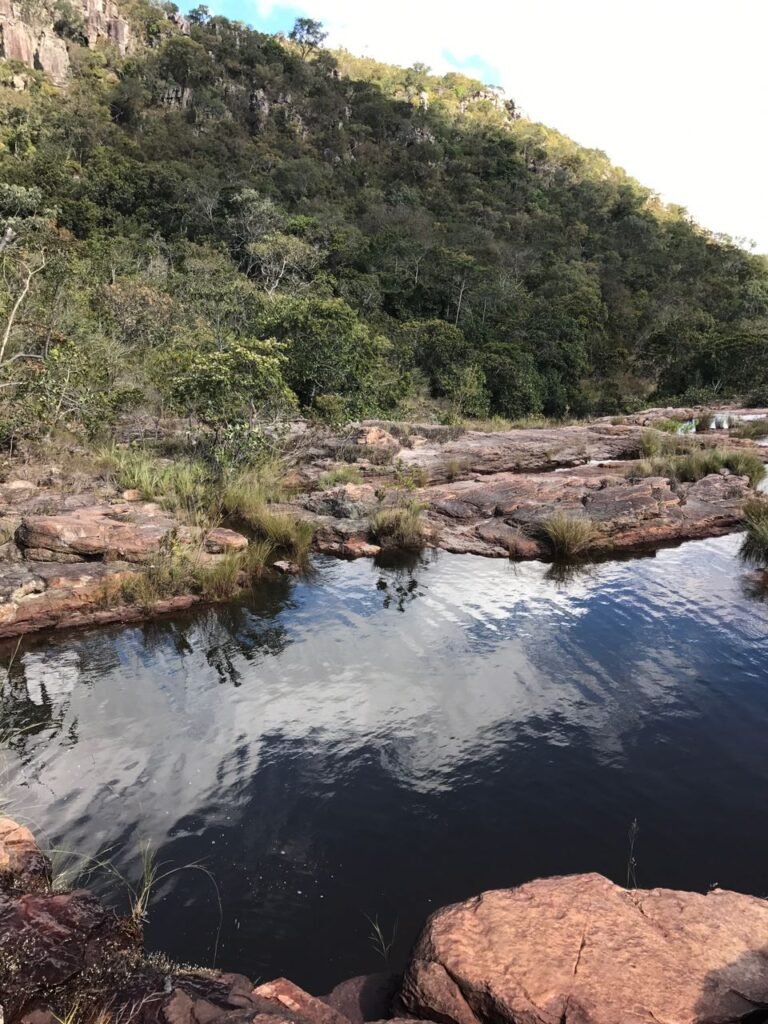 Chácara 4ha – Fazendo Flor da Mata – 14km de Alto Paraíso sentido Brasília