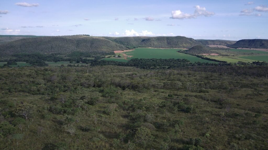 Chácara 4ha – Fazendo Flor da Mata – 14km de Alto Paraíso sentido Brasília