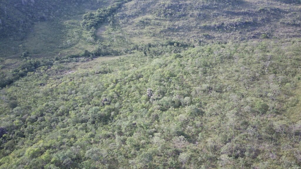 Chácara 4ha – Fazendo Flor da Mata – 14km de Alto Paraíso sentido Brasília
