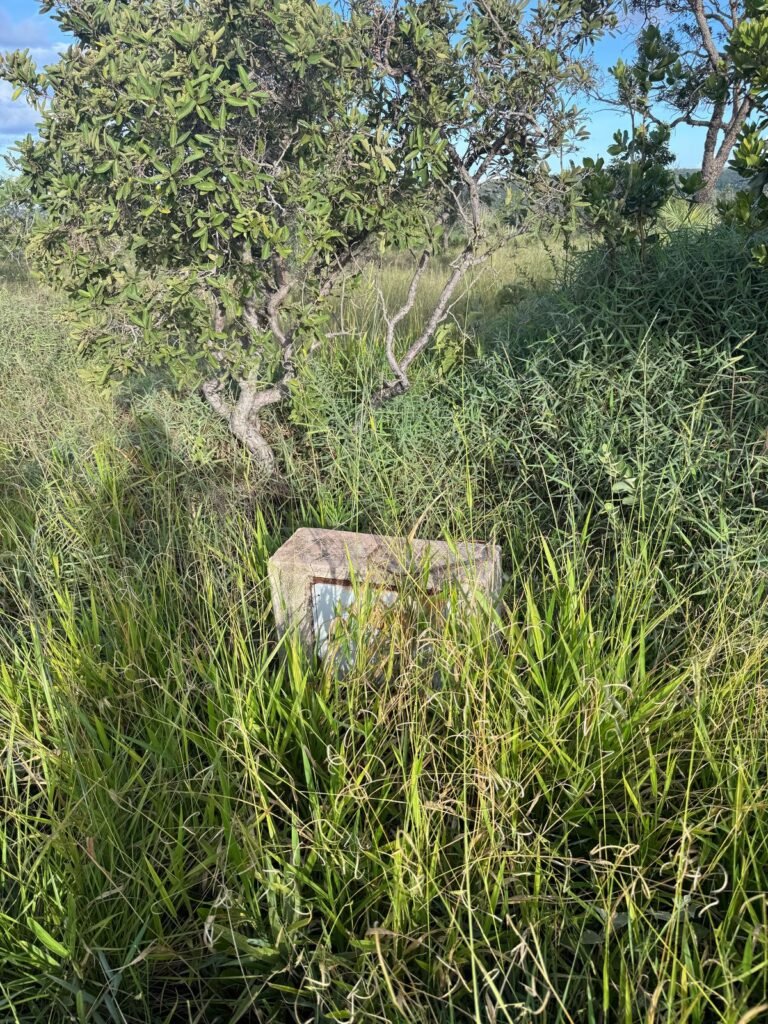 Chácara 4ha – Fazendo Flor da Mata – 14km de Alto Paraíso sentido Brasília