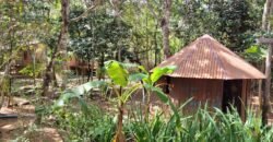 Maravilhosa Propriedade no Condomínio Samassati – Morrão – Alto Paaraíso/G Maravilhosa Propriedade no Condomínio Samassati – Morrão – Alto Paaraíso/G