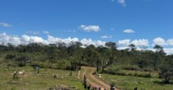 Chácara 5ha – Flor da Mata – 14 km de Alto Paraíso de Goiás Chácara 5ha – Flor da Mata – 14 km de Alto Paraíso de Goiás