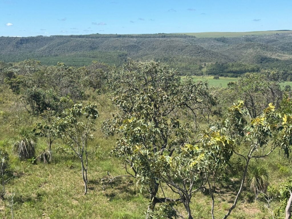 Chácara 5ha – Flor da Mata – 14 km de Alto Paraíso de Goiás