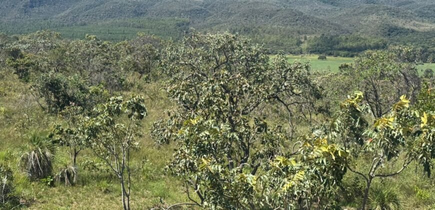 Chácara 5ha – Flor da Mata – 14 km de Alto Paraíso de Goiás