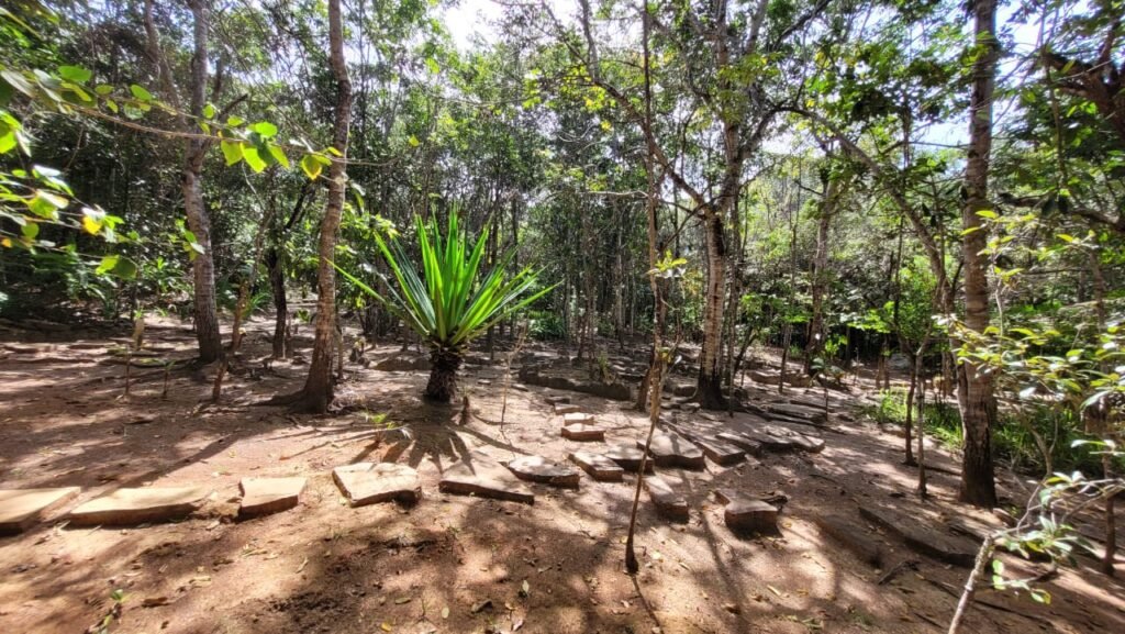 Maravilhosa Propriedade 7.000m2 – Condomínio Samassati – Morrão – Alto Paaraíso/G