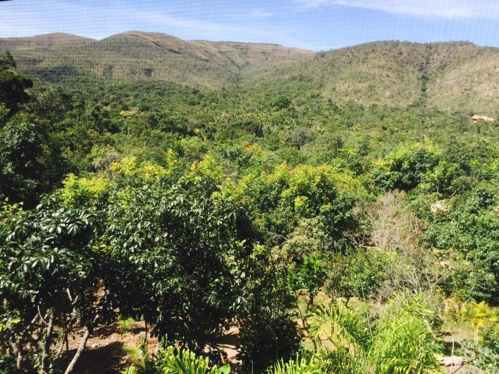 Maravilhosa Propriedade 7.000m2 – Condomínio Samassati – Morrão – Alto Paaraíso/G