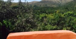 Maravilhosa Propriedade no Condomínio Samassati – Morrão – Alto Paaraíso/G Maravilhosa Propriedade no Condomínio Samassati – Morrão – Alto Paaraíso/G