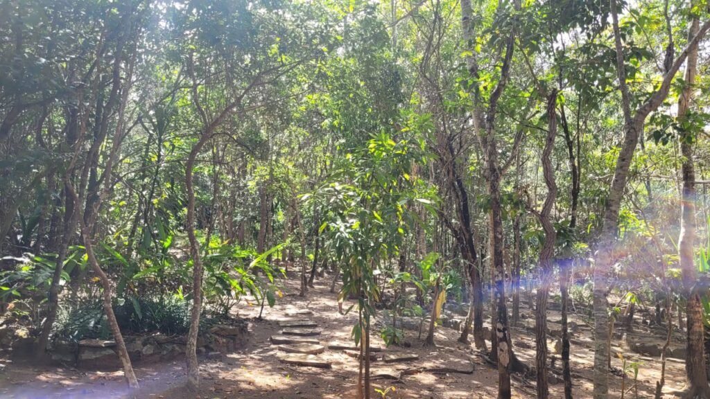 Maravilhosa Propriedade 7.000m2 – Condomínio Samassati – Morrão – Alto Paaraíso/G