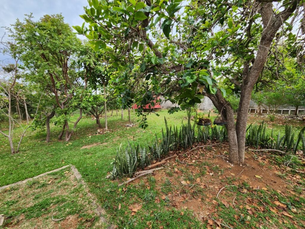 Casa com 2 lotes – Monte Sinai – Alto Paraíso de Goiás