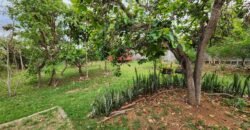 Casa com 2 lotes – Monte Sinai – Alto Paraíso de Goiás