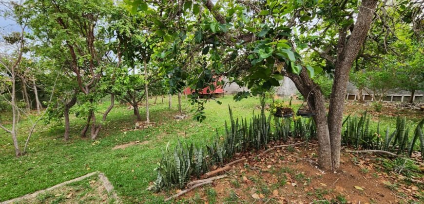 Casa com 2 lotes – Monte Sinai – Alto Paraíso de Goiás