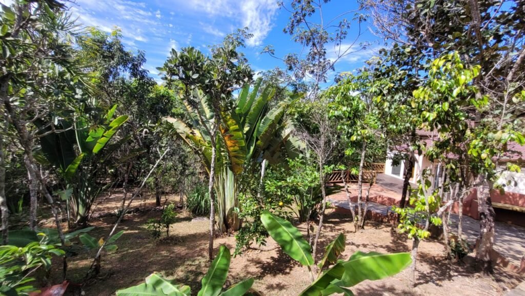 Maravilhosa Propriedade 7.000m2 – Condomínio Samassati – Morrão – Alto Paaraíso/G