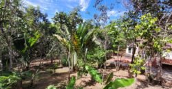 Maravilhosa Propriedade no Condomínio Samassati – Morrão – Alto Paaraíso/G Maravilhosa Propriedade no Condomínio Samassati – Morrão – Alto Paaraíso/G