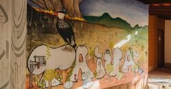 Pousada 2.560m2 – São Jorge – Chapada dos Veadeiros