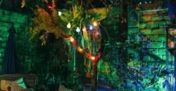 Pousada 2.560m2 – São Jorge – Chapada dos Veadeiros