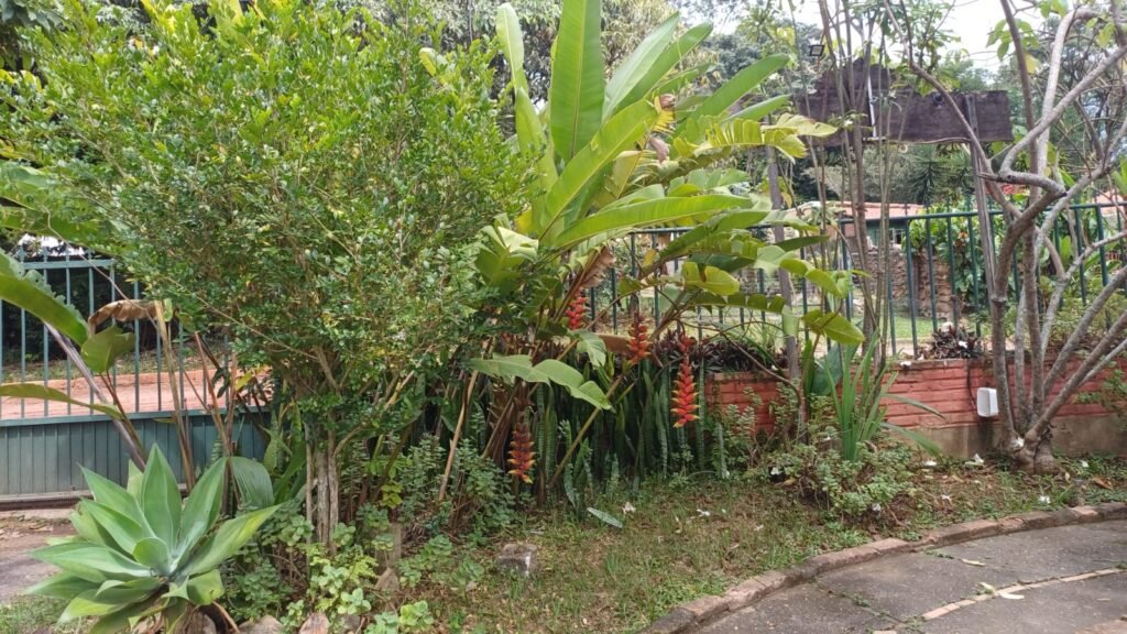 Pousada em funcionamento – Centro – Alto Paraíso de Goiás – Chapada dos Veadeiros