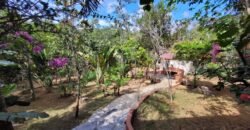 Maravilhosa Propriedade no Condomínio Samassati – Morrão – Alto Paaraíso/G Maravilhosa Propriedade no Condomínio Samassati – Morrão – Alto Paaraíso/G