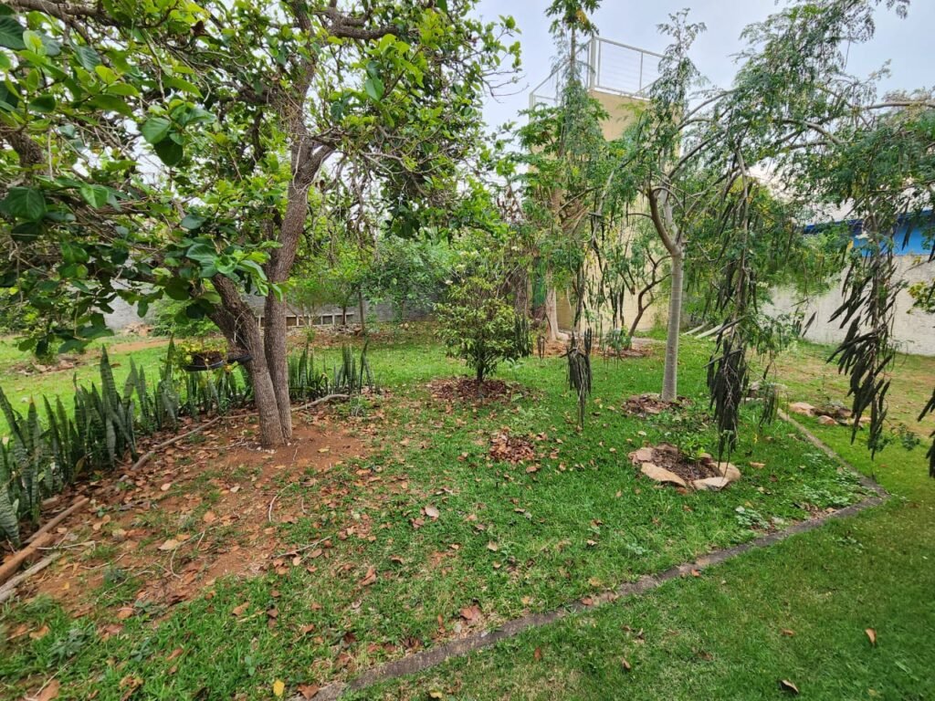 Casa com 2 lotes – Monte Sinai – Alto Paraíso de Goiás